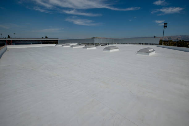 Best Roof Waterproofing  in Albany, MN